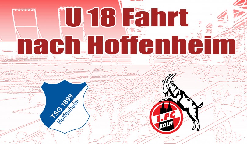 Hoffenheim_16